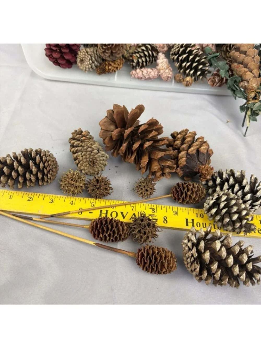 Huge Mix Lot Pinecone Sweet Gum Pods Home Decor Crafts Floral Design